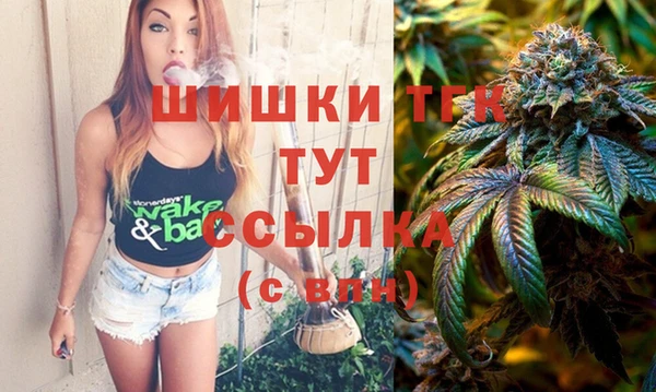 мдпв Вуктыл