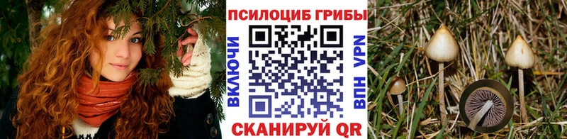 Псилоцибиновые грибы GOLDEN TEACHER  гидра ССЫЛКА  Лянтор 